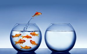 motivacao-e-lideranca-no-trabalho-aquario