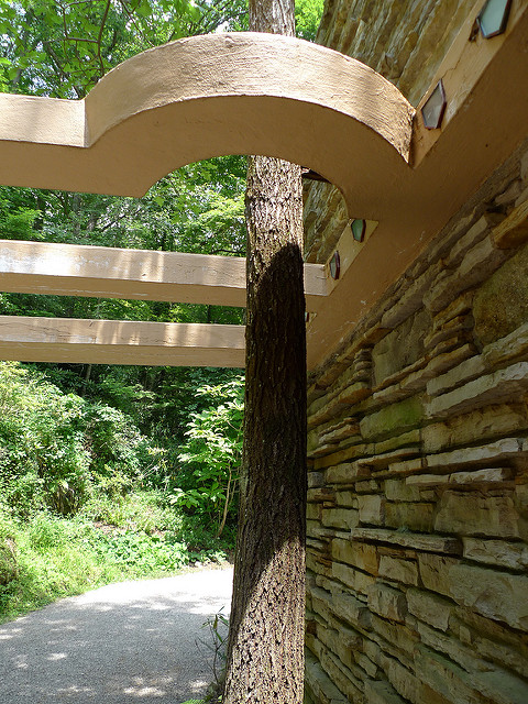 arquitectura-casa-orgánica-del-árbol-cascada