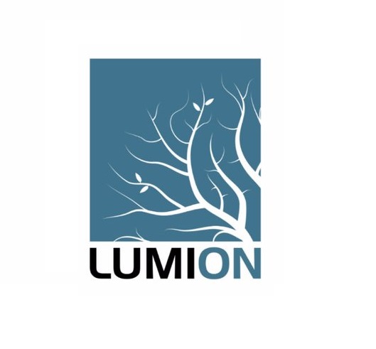 lumion logo black and white