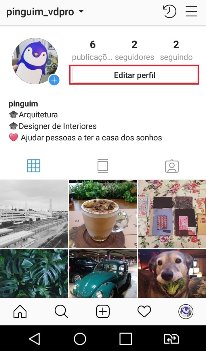 como-usar-instagram-biografia-2