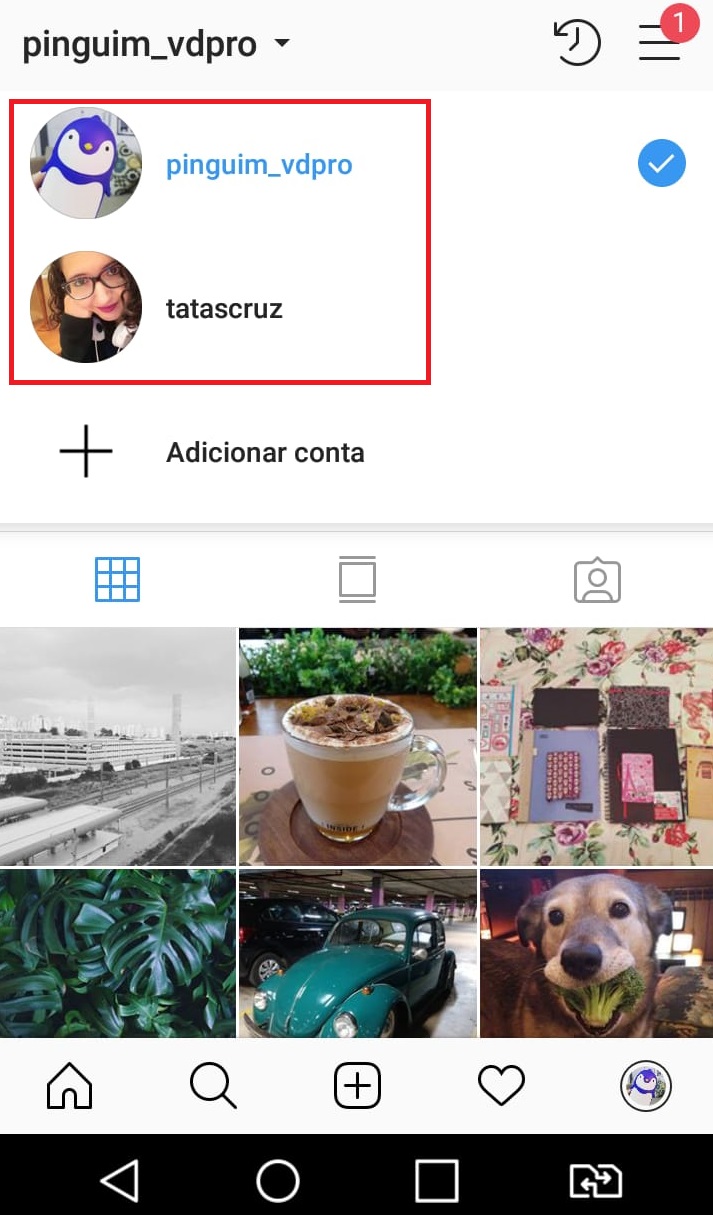 como-usar-instagram-criar-duas-contas-4