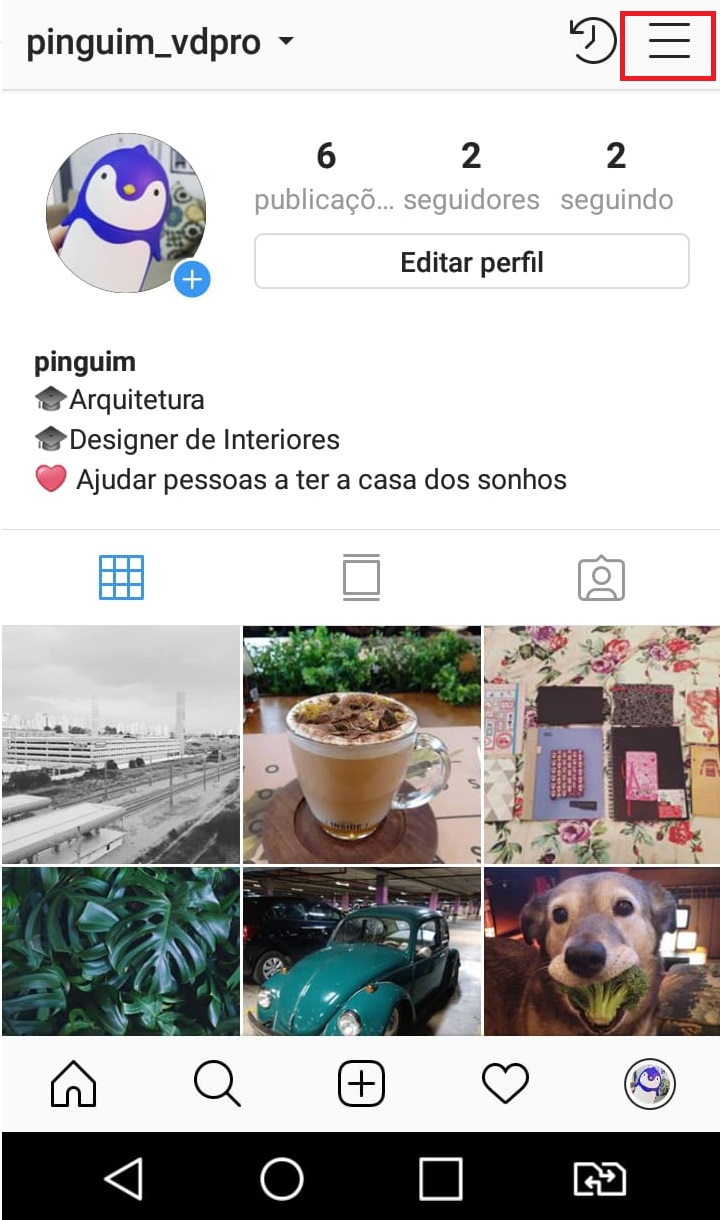 como-usar-instagram-perfil-privado