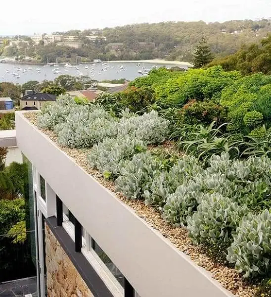 Modelos de telhados verde deixam obra mais sustentável