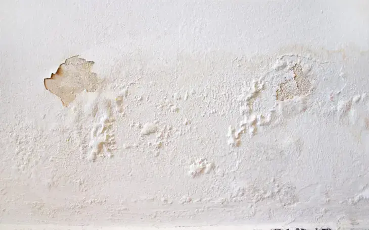 Laudo de vistoria de imóvel: parede com bolha indica umidade