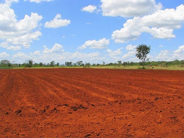 Tipos de solos: Terra Roxa ou avermelhada