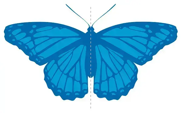 Figuras simétricas: borboleta