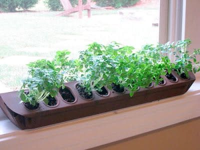 Peitoril: janela com horta no peitoril