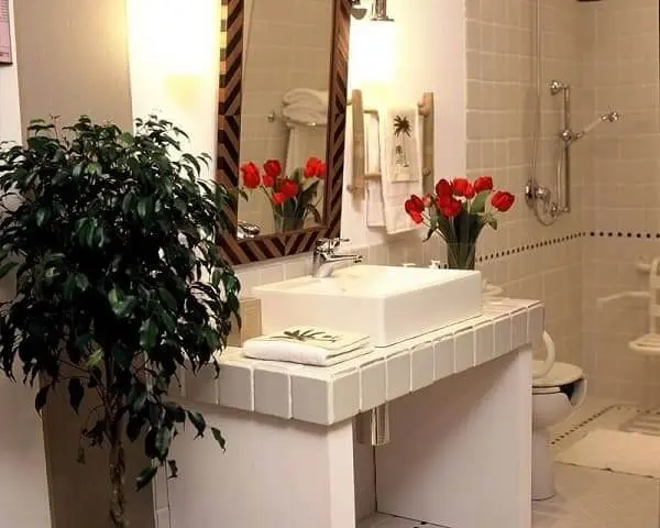 Banheiro acessível: bancada grande sem armário embaixo e plantas na decoração (Projeto: Ana Luisa Previde)