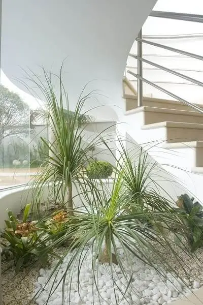 Jardim embaixo da escada: plantas grandes e sem vasos preenchem o espaço