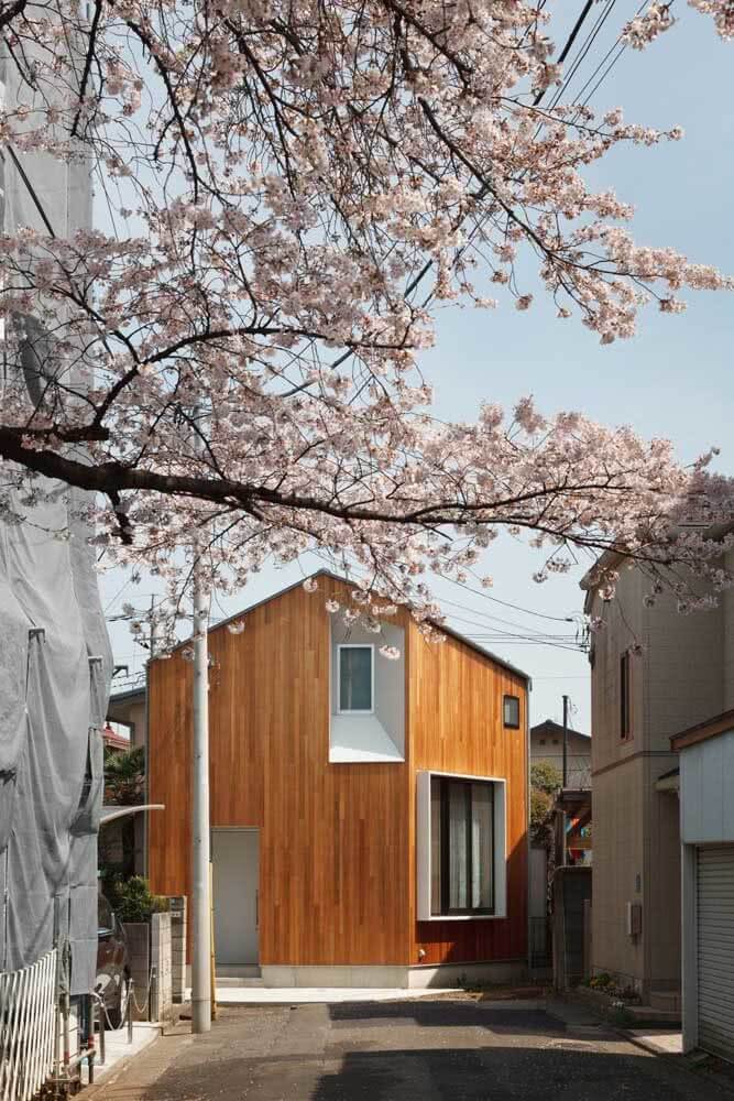 Casa japonesa e cerejeiras