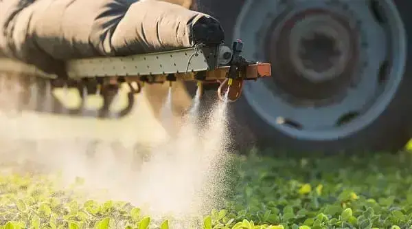 Los huertos urbanos evitan el consumo de hortalizas con pesticidas