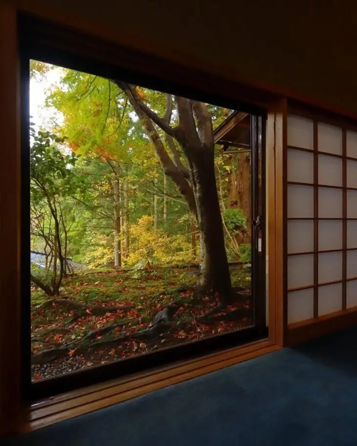 Janelas amplas da casa japonesa convidam para contemplação da natureza