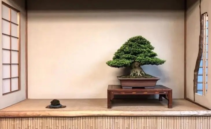 Os famosos bonsais decoram a casa japonesa