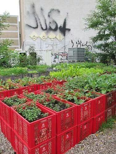 Jardines urbanos: huerto urbano con caja de mercado