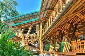 O bambu é um dos materiais biodegradáveis mais usados na construção civil. Fonte: Ugreen