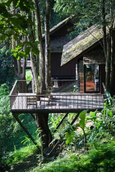 Casa em declive na floresta com árvore no terraço (foto: Pinterest)
