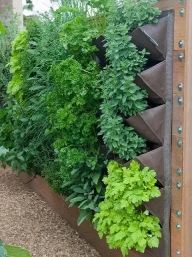 Muro verde sistema de módulos também pode ser usado para a criação de hortas verticais (foto: Pinterest)