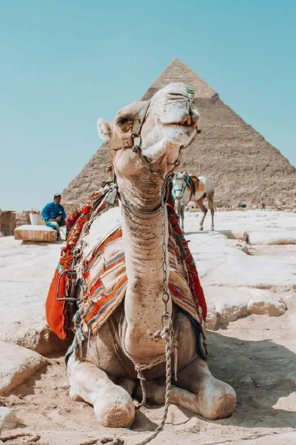A Pirâmides do Egito simbolizam a ascensão dos faraós ao céu