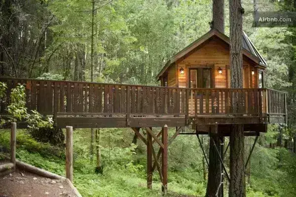 Casas suspensas em árvores: casa em floresta com passarela (foto: Airbnb)