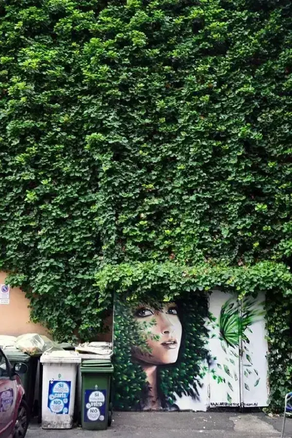 A arte urbana em grafite e as folhagem da planta se misturam nessa intervenção artística