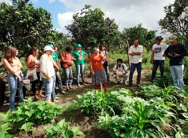 A prática da agroecologia e da permacultura são algumas das atividades que fazem parte da Ecovila