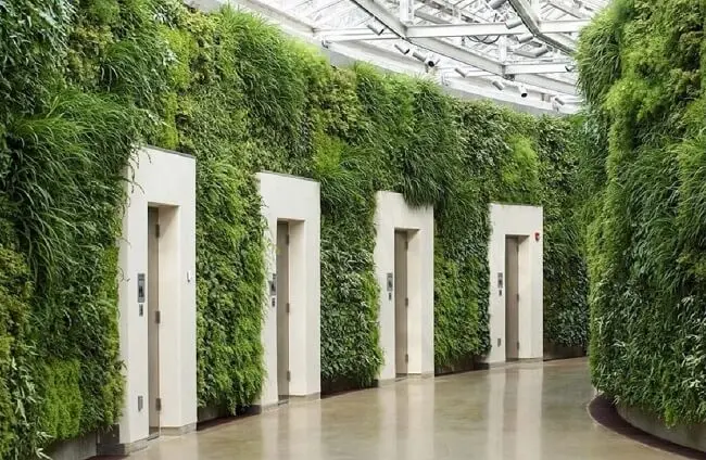 O design biofílico fez uso de paredes verdes nos corredores do edifício. Fonte: Pinterest