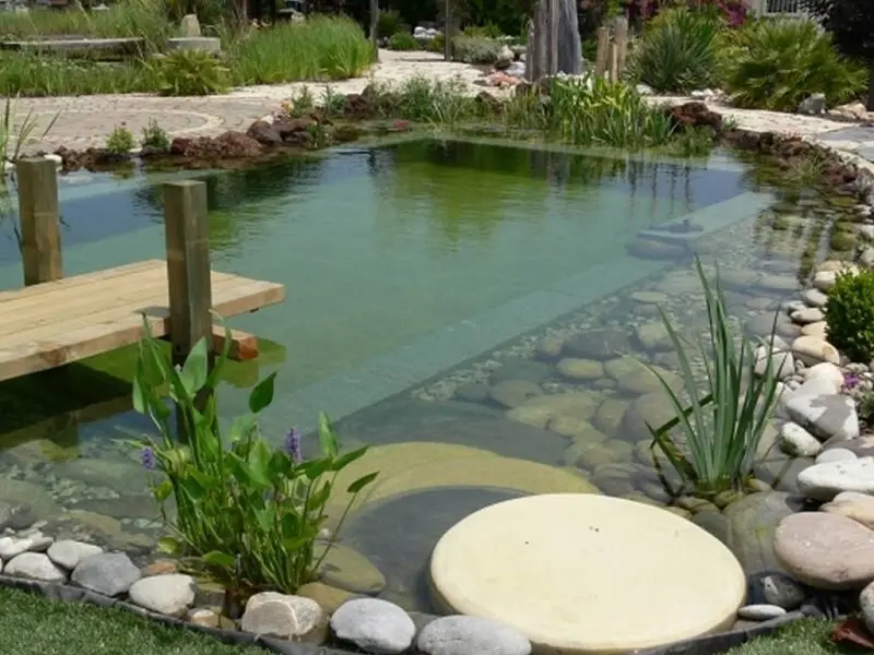 A piscina biológica é feita em duas partes: uma para banho e outra para cultivo das plantas. Fonte: Le Matin