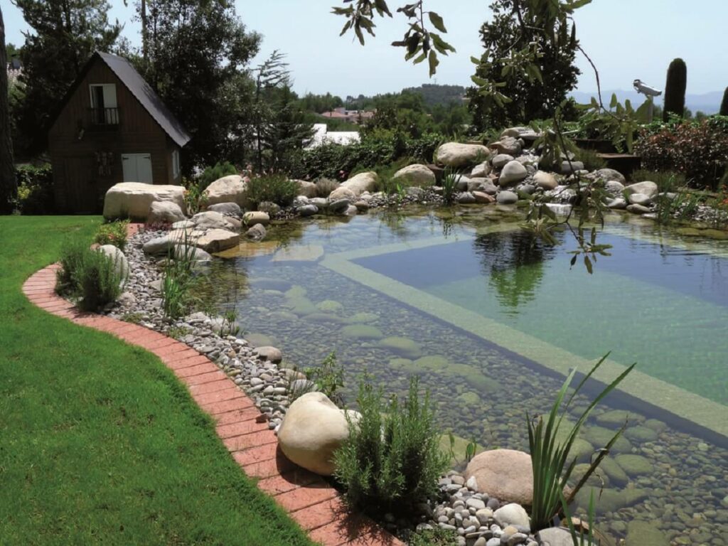 A vegetação aquática e os microorganismos são responsável por realizar a filtragem da água da piscina biológica. Fonte: Almoço de Sexta