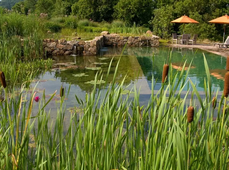 O aspecto visual de uma piscina biológica se assemelha muito com um lago ou rio. Fonte: Le Matin