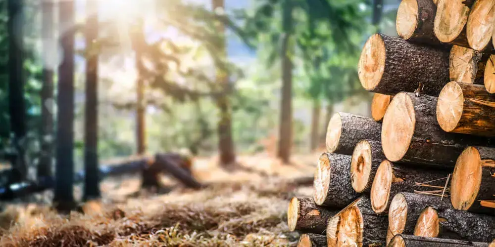 As madeiras são materiais de origem natural. Fonte: Potencial Florestal