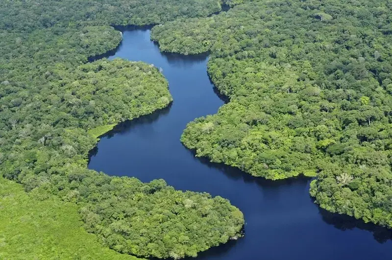 9. A Floresta Amazônica é considerada a maior floresta tropical do mundo. (Fonte: Um Só Planeta)