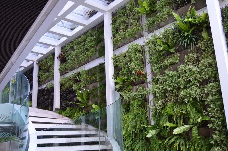 Paisagismo residencial: o jardim vertical traz frescor e bem estar aos moradores