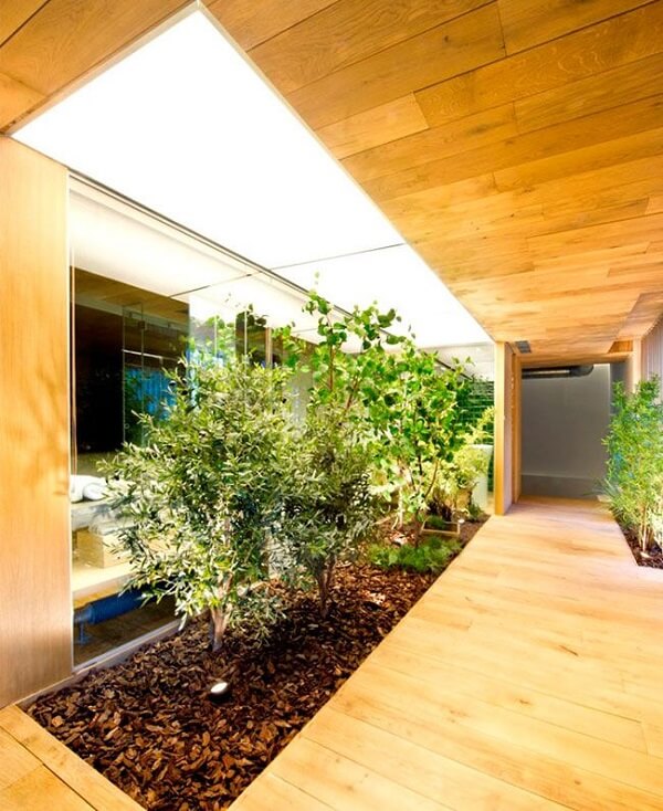 Ambiente revestido com placas de madeira e decorado com jardim de inverno simples