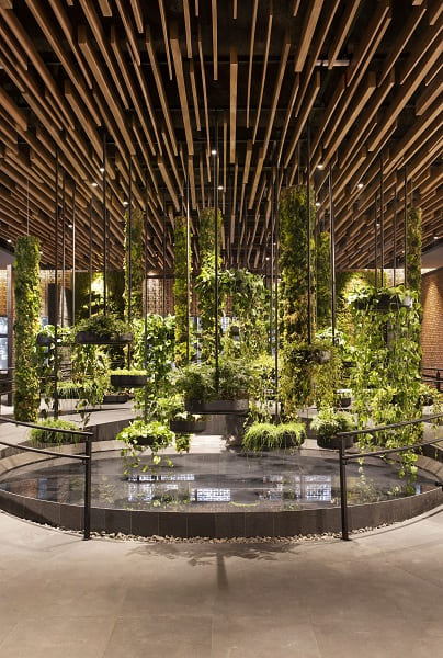 CASACOR SP 2022: Senses Hall Deca - Jardim de bambu, seixos e carvão / Projeto: Roberto Migotto / Foto: Denilson Machado