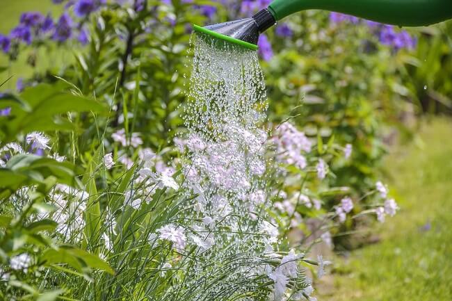 A partir da captação de água da chuva é possível reutilizar a agua para regas em jardins e lavagens externas. Fonte: Pixabay